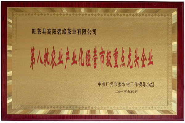 image02